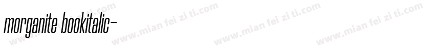 morganite bookitalic字体转换